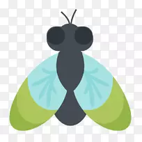 ����-��ͨ��Ӭ-������