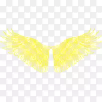 黄颈图案-金色翅膀-空若网 黄颈图案-金色翅膀-空若网