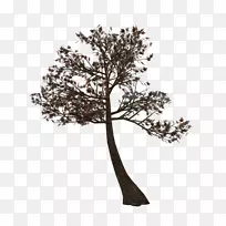 树枝枝条植物剪贴画树-空若网 树枝枝条植物剪贴画树-空若网