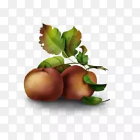 ��ʳʳƷ������Ӱ����ʳ��-ƻ��-������