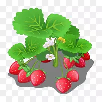 ��ݮ����ͨ-��ݮ-������