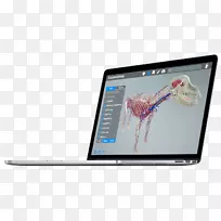 dru?inamacbook笔记本电脑-空若网 dru?inamacbook笔记本电脑-空若网