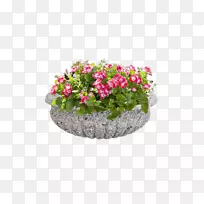 Вазон花卉设计-空若网 Вазон花卉设计-空若网