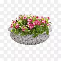 Вазон花卉设计-空若网 Вазон花卉设计-空若网