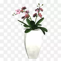 花卉设计切花植物花盆-花卉-空若网 花卉设计切花植物花盆-花卉-空若网