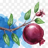 石榴汁水果食品石榴-空若网 石榴汁水果食品石榴-空若网