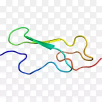 �ߵ������-��-������