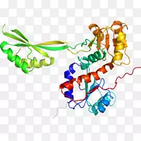 人体首饰有机体线剪贴画线-空若网 人体首饰有机体线剪贴画线-空若网