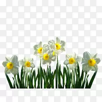 Ұ��ˮ�ɻ��л�������ֲ��-������