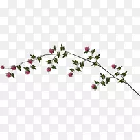 花卉设计叶枝叶-空若网 花卉设计叶枝叶-空若网