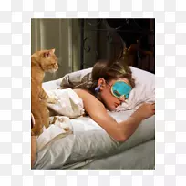 早餐麦片冬青奥利维亚本森食品-早餐-空若网 早餐麦片冬青奥利维亚本森食品-早餐-空若网