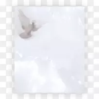 喙天plc-空若网 喙天plc-空若网