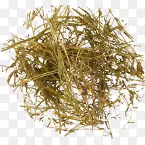 金银花草本植物阔叶车前草药用植物树皮草本植物-空若网 金银花草本植物阔叶车前草药用植物树皮草本植物-空若网