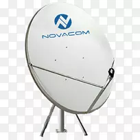 ���߽�-������