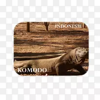 Ijen旅游博客火山日惹旅游-空若网 Ijen旅游博客火山日惹旅游-空若网