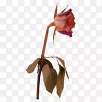 插花艺术-空若网 插花艺术-空若网