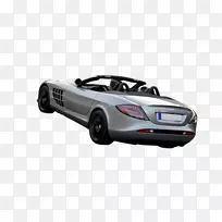 ����SLR�������ܳ�-������