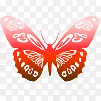 无袖T恤蝴蝶-空若网 无袖T恤蝴蝶-空若网