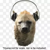 ������-��-������