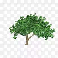 桌面壁纸剪贴画-树-空若网 桌面壁纸剪贴画-树-空若网