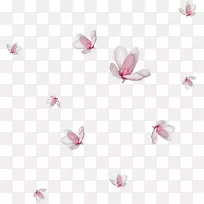 ����ˮ�ʻ����滭��������.������-������