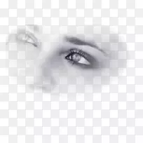 眉毛Sayyid面颊摄影前额-空若网 眉毛Sayyid面颊摄影前额-空若网