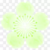 ��װ�ĸ���sakuramochi�����ֽ����.���ɲ���-������