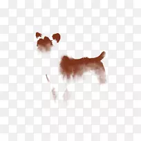 犬种小狗伴犬鼻子-小狗-空若网 犬种小狗伴犬鼻子-小狗-空若网