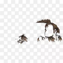 羽毛-羽毛-空若网 羽毛-羽毛-空若网