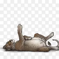 ʨ�Ӵ�è½������Ұ������-ʨ��-������