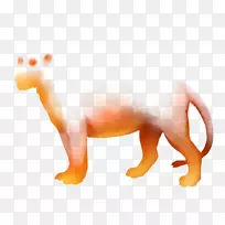 雪貂猫犬鼻子雪貂-空若网 雪貂猫犬鼻子雪貂-空若网