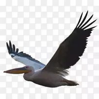 电子邮件网站托管服务域名-电子邮件-空若网 电子邮件网站托管服务域名-电子邮件-空若网