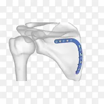 肩骨设计-空若网 肩骨设计-空若网