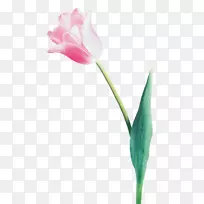 �����㻨��������������-������