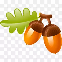 橡树秋季插图-咖啡色美味的松果-空若网 橡树秋季插图-咖啡色美味的松果-空若网