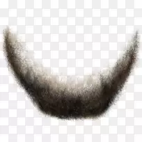 下巴,鼻子,尾巴,皮毛,近身头发的男人-空若网 下巴,鼻子,尾巴,皮毛,近身头发的男人-空若网