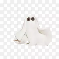 万圣节弗兰基博客-白鬼-空若网 万圣节弗兰基博客-白鬼-空若网