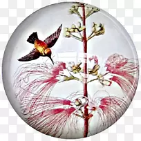 Õò¾²¼Á²£Á§-¿ÕÈôÍø Õò¾²¼Á²£Á§-¿ÕÈôÍø