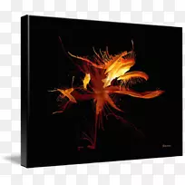 台式壁纸电脑-空若网 台式壁纸电脑-空若网