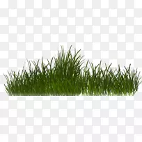 ¼ôÌù»ÇéÂÂÏÂÔØ¼ôÌù»-¿ÕÈôÍø ¼ôÌù»ÇéÂÂÏÂÔØ¼ôÌù»-¿ÕÈôÍø