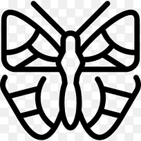 ºûµûÀ¥³æµçÄÔͼ±ê·É¶ê-ºûµû-¿ÕÈôÍø ºûµûÀ¥³æµçÄÔͼ±ê·É¶ê-ºûµû-¿ÕÈôÍø