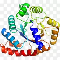 人体首饰有机体线剪贴画线-空若网 人体首饰有机体线剪贴画线-空若网
