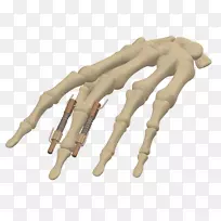 手指设计-空若网 手指设计-空若网