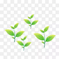 茶叶动画.卡通茶叶-空若网 茶叶动画.卡通茶叶-空若网