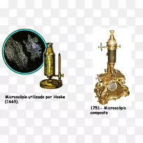 ��ѧ��΢��ϸ����ѧ������΢��-������