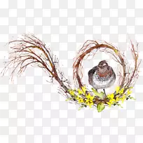 1月12月Amazon.com素描-分支水彩画-空若网 1月12月Amazon.com素描-分支水彩画-空若网