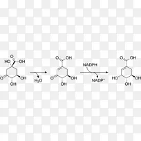 ç�����л;�������ĺϳ�-������