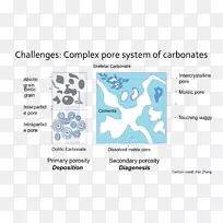 ¿×϶¶È̼ËáÑÎÑÒµØÇòÎïÀí.Ñо¿¶¯»-¿ÕÈôÍø ¿×϶¶È̼ËáÑÎÑÒµØÇòÎïÀí.Ñо¿¶¯»-¿ÕÈôÍø