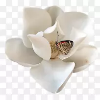 �ƽ�������-������-������