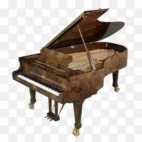 大钢琴欧式钢琴那不勒斯竖琴Fazioli钢琴-空若网 大钢琴欧式钢琴那不勒斯竖琴Fazioli钢琴-空若网